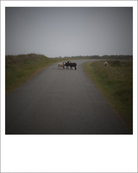 Ouessant...