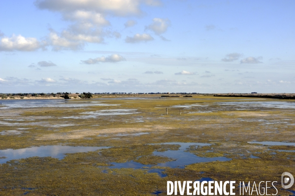 Marais salants