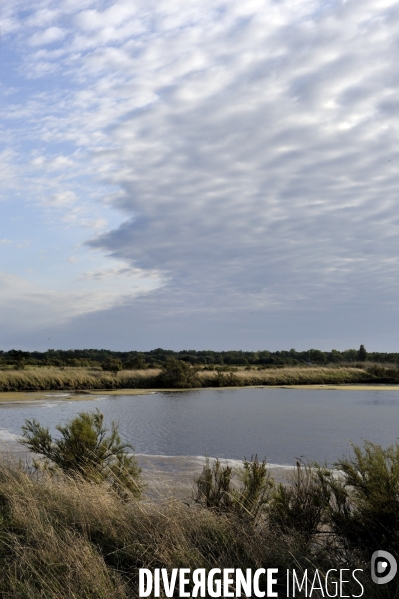 Marais salants