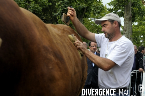 Francois hollande en correze