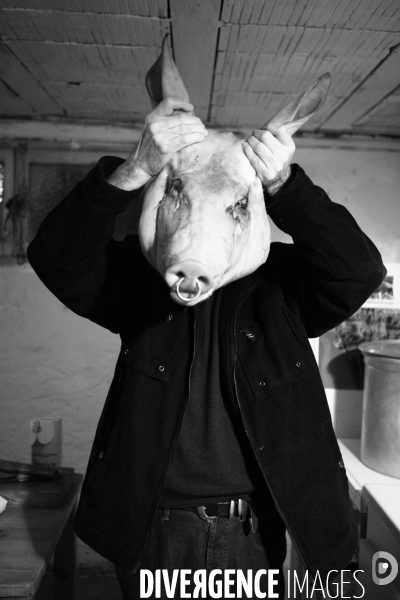 Les amis du cochon
