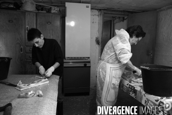 Les amis du cochon