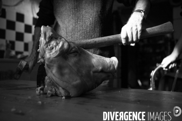 Les amis du cochon