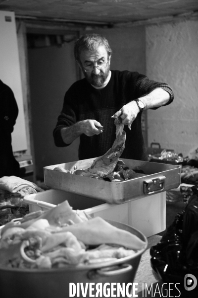 Les amis du cochon