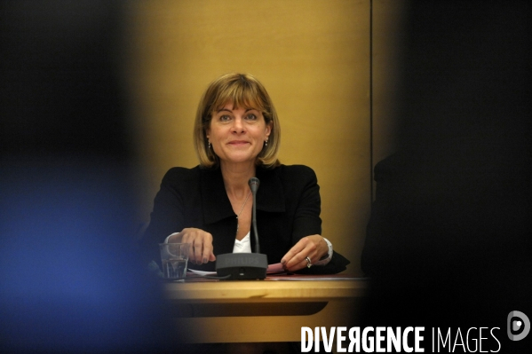Anne lauvergeon, presidente d areva au senat