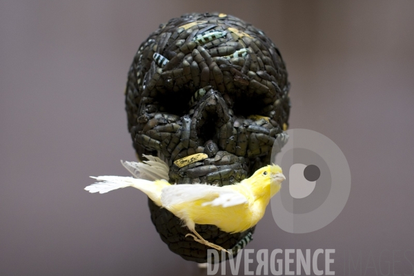 L Ange de la métamorphose - Jan Fabre au Louvre