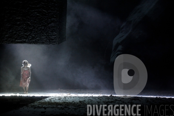 Tempest : Without a body  de  Lemi Ponifasio