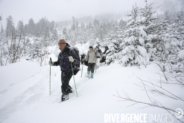 Randonnee en raquettes a neige en baviere