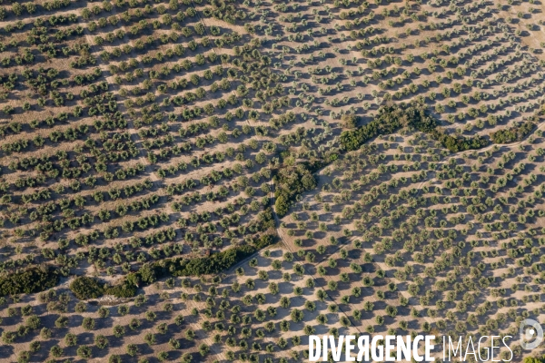 Vue aérienne des Alpilles