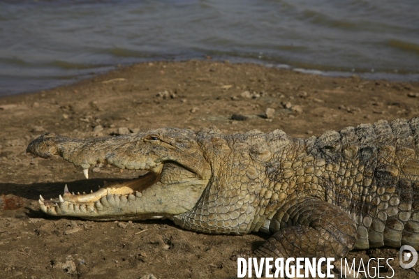 Vue aérienne du Burkina Faso