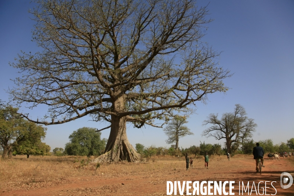 Vue aérienne du Burkina Faso