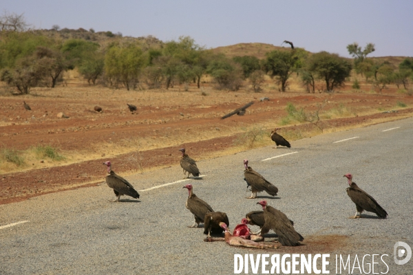 Vue aérienne du Burkina Faso