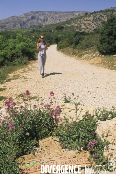 Parc National des Calanques. Marseille, Cassis et La Ciotat