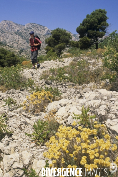 Parc National des Calanques. Marseille, Cassis et La Ciotat