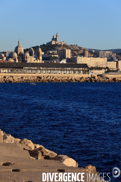 La tour CMA-CGM et le Grand Port Maritime de Marseille