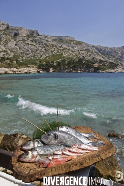 Parc National des Calanques. Marseille, Cassis et La Ciotat