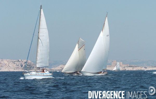 Les voiles du vieux port