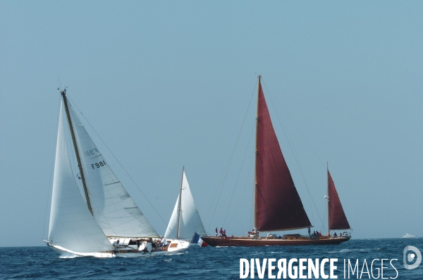Les voiles du vieux port