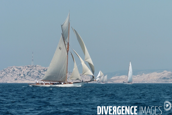 Les voiles du vieux port