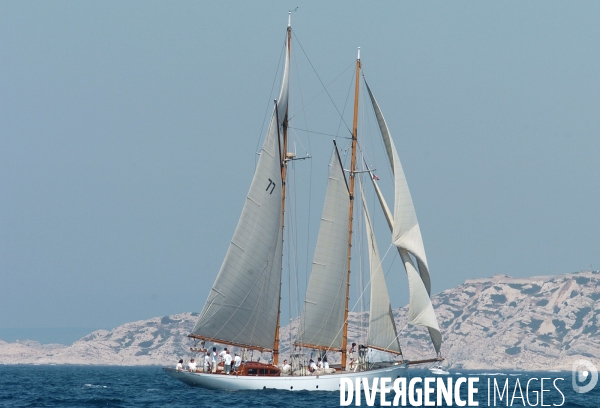 Les voiles du vieux port