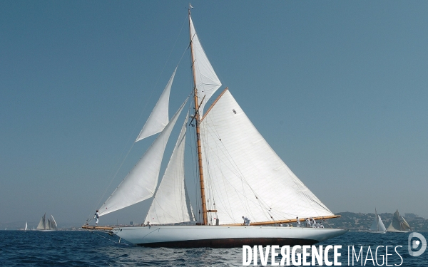 Les voiles du vieux port