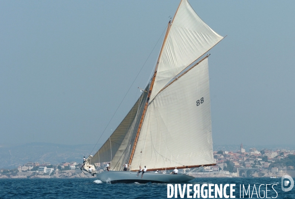 Les voiles du vieux port
