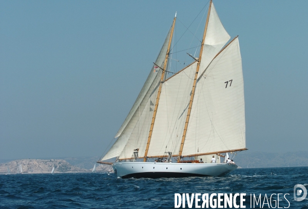 Les voiles du vieux port