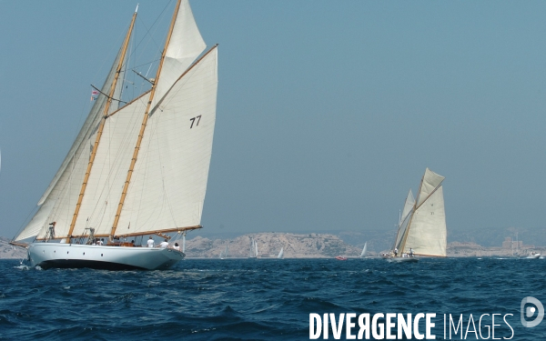 Les voiles du vieux port
