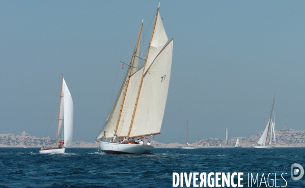 Les voiles du vieux port