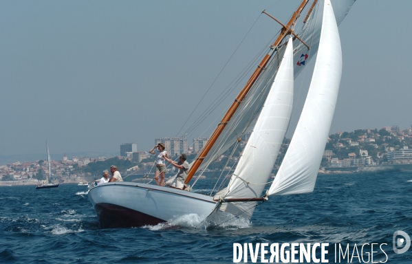 Les voiles du vieux port