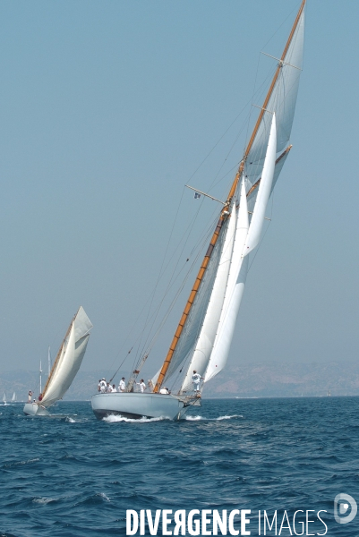 Les voiles du vieux port