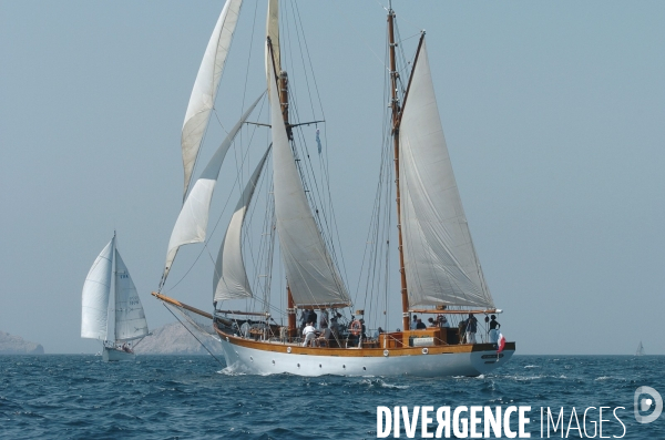 Les voiles du vieux port