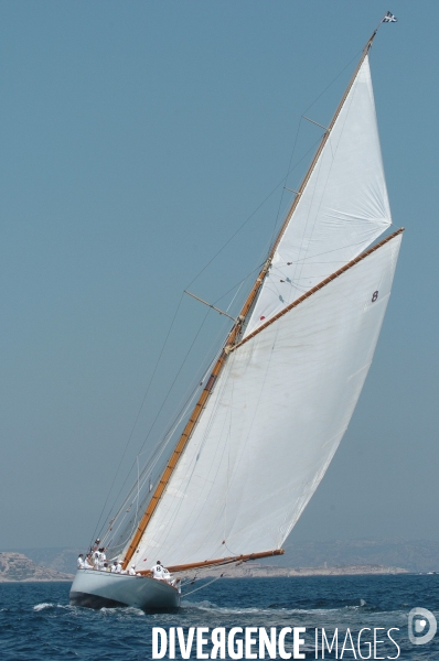 Les voiles du vieux port