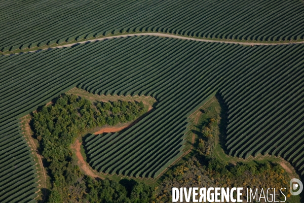 Vue aérienne de centrales solaires des Mées dans les Alpes-de-Haute-Provence (04)