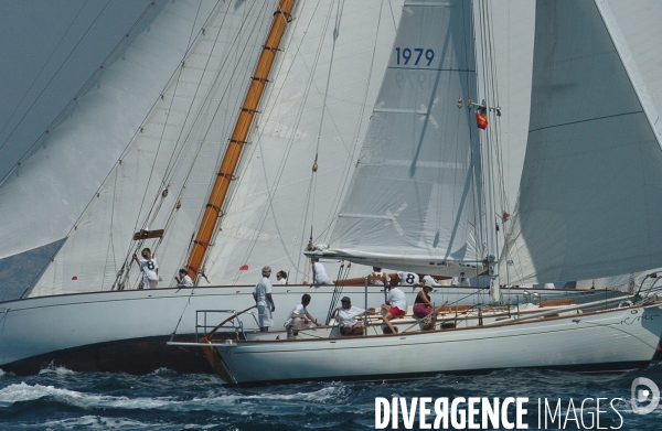 Les voiles du vieux port