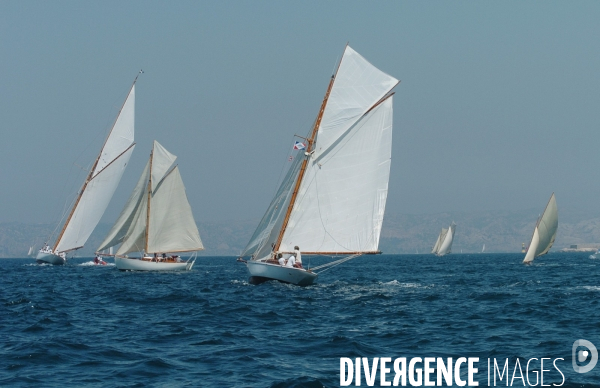 Les voiles du vieux port