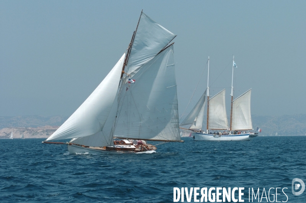 Les voiles du vieux port
