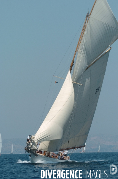 Les voiles du vieux port
