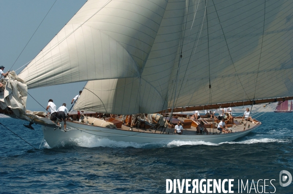 Les voiles du vieux port