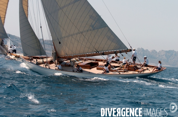 Les voiles du vieux port