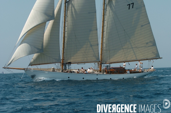 Les voiles du vieux port