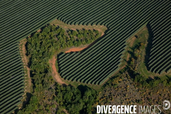 Vue aérienne de centrales solaires des Mées dans les Alpes-de-Haute-Provence (04)