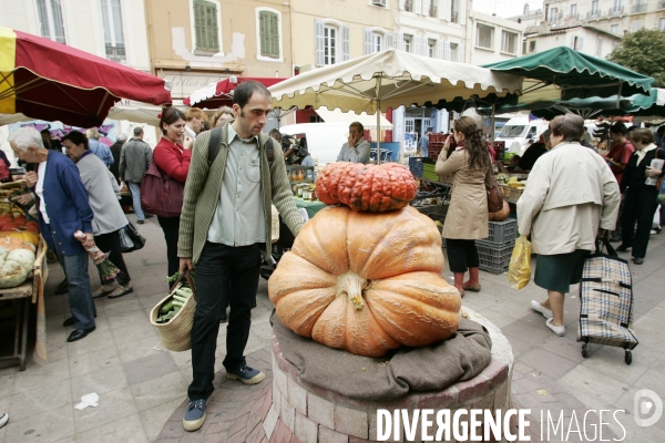 La Courge