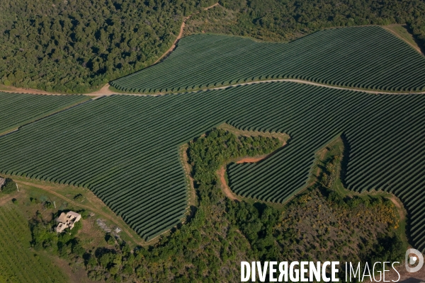 Vue aérienne de centrales solaires des Mées dans les Alpes-de-Haute-Provence (04)