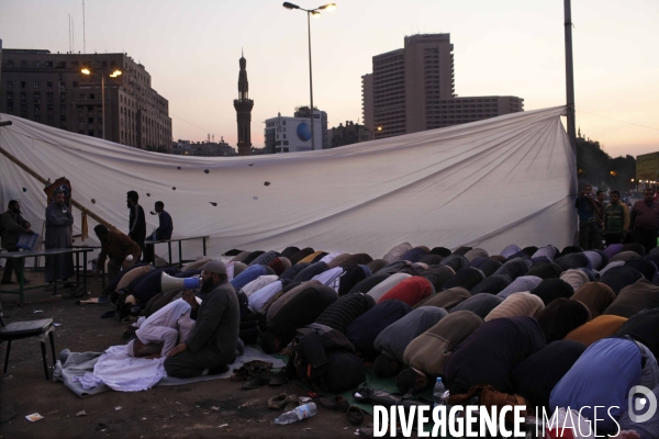 Demonstration in tahrir square.