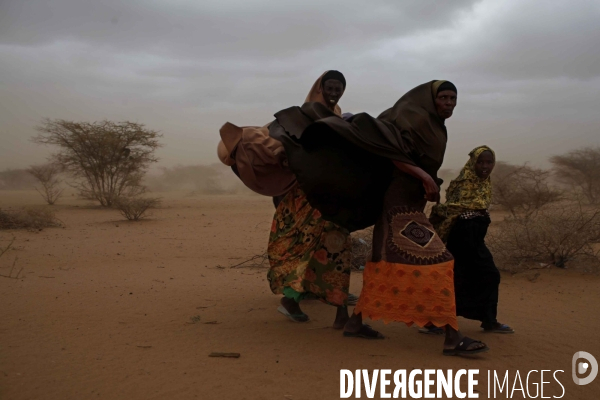 Camp de refugies de dadaab, a l est du kenya.