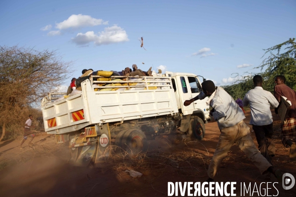 Food distribution by a koweit ngo in the ifo refugees camp of dadaab, east kenya.