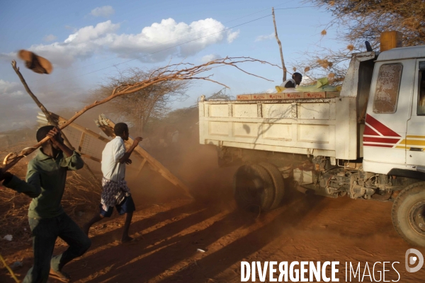 Food distribution by a koweit ngo in the ifo refugees camp of dadaab, east kenya.