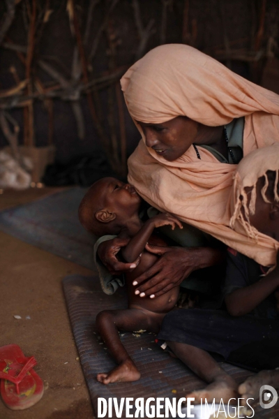 Camp de refugies de dadaab, a l est du kenya, est la plus grand camp de refugies au monde.