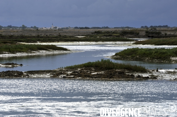 Marais salants